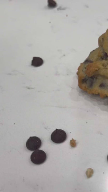 Chonky Chip